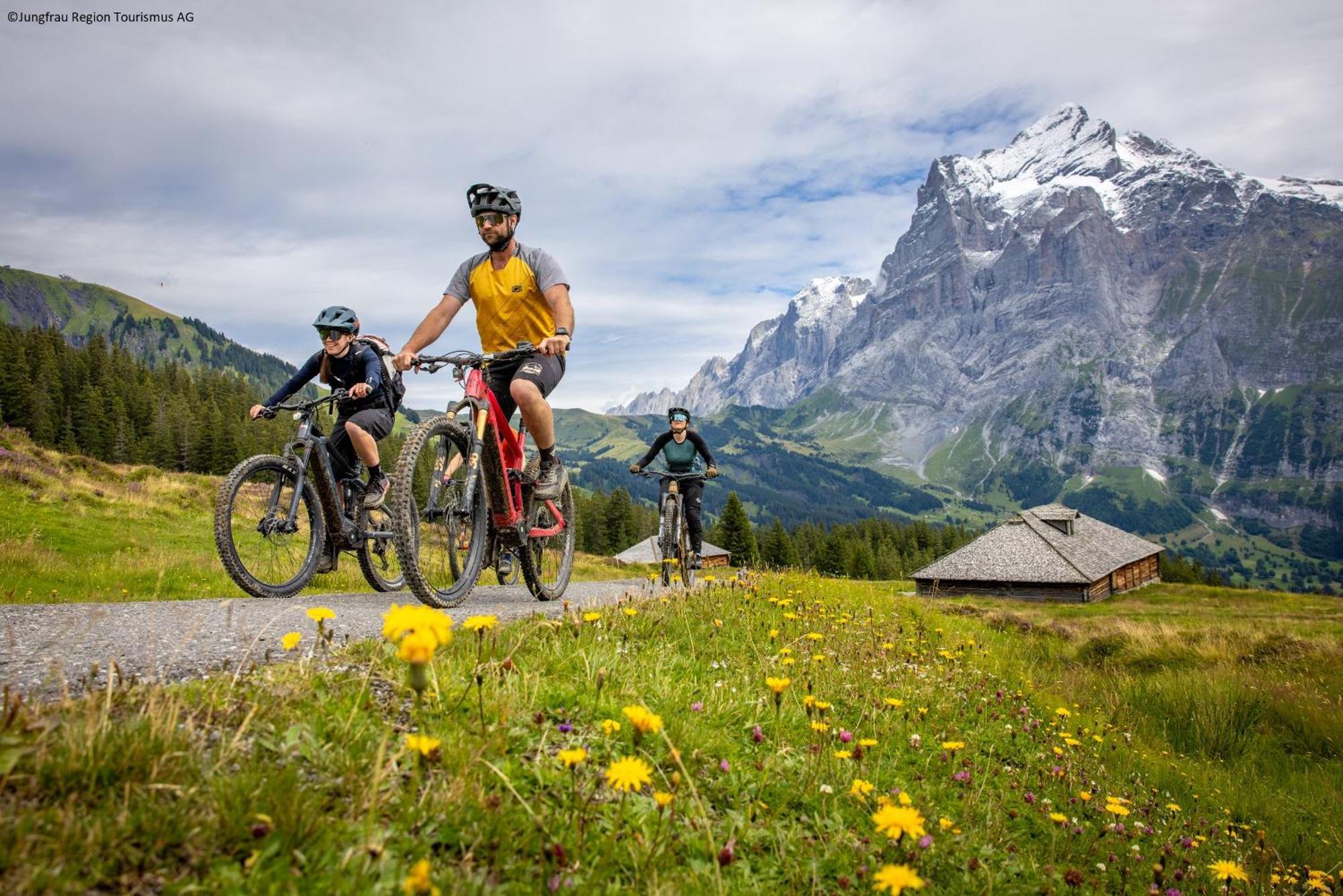Parkhotel Schoenegg Grindelwald Eksteriør bilde