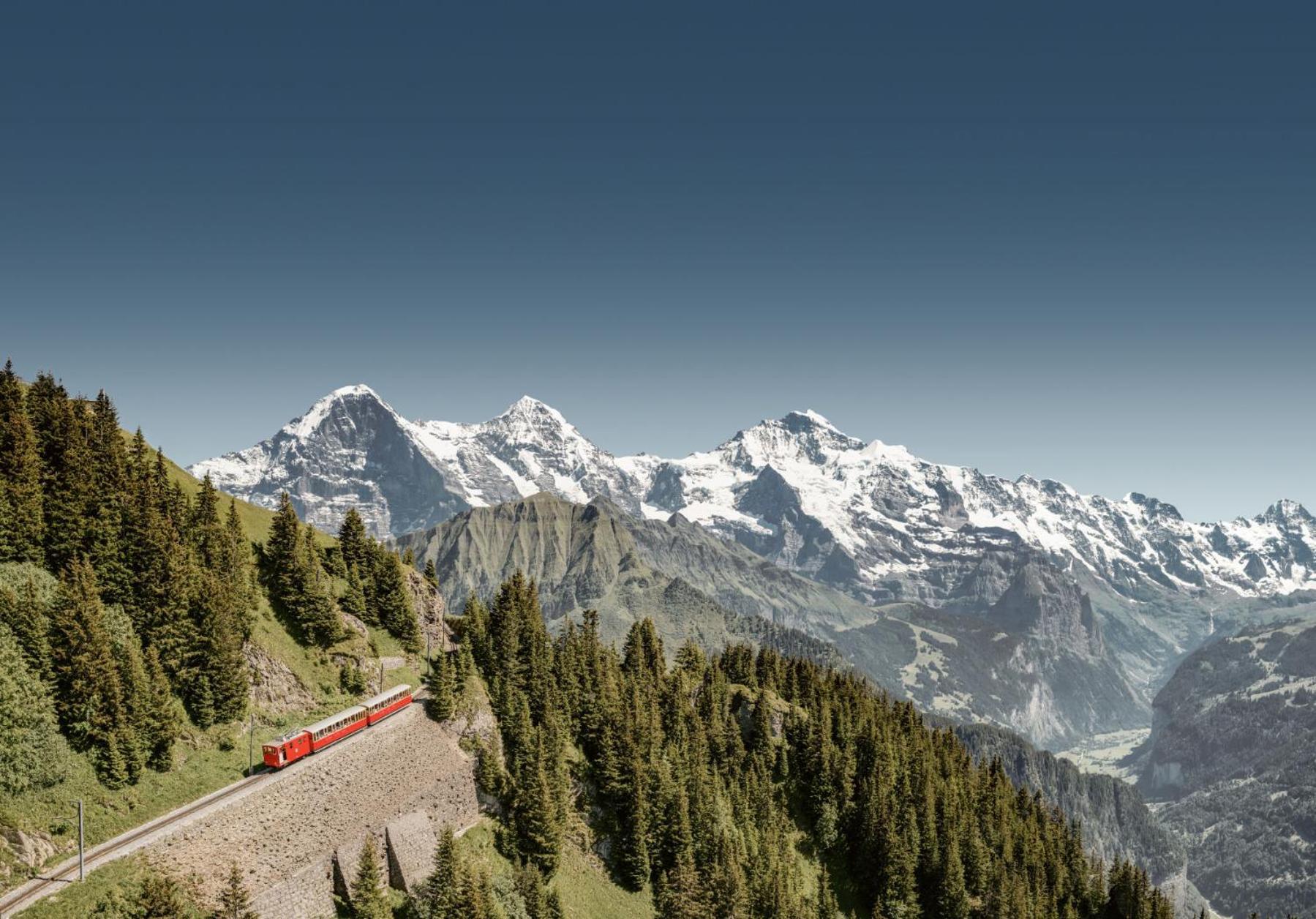 Parkhotel Schoenegg Grindelwald Eksteriør bilde