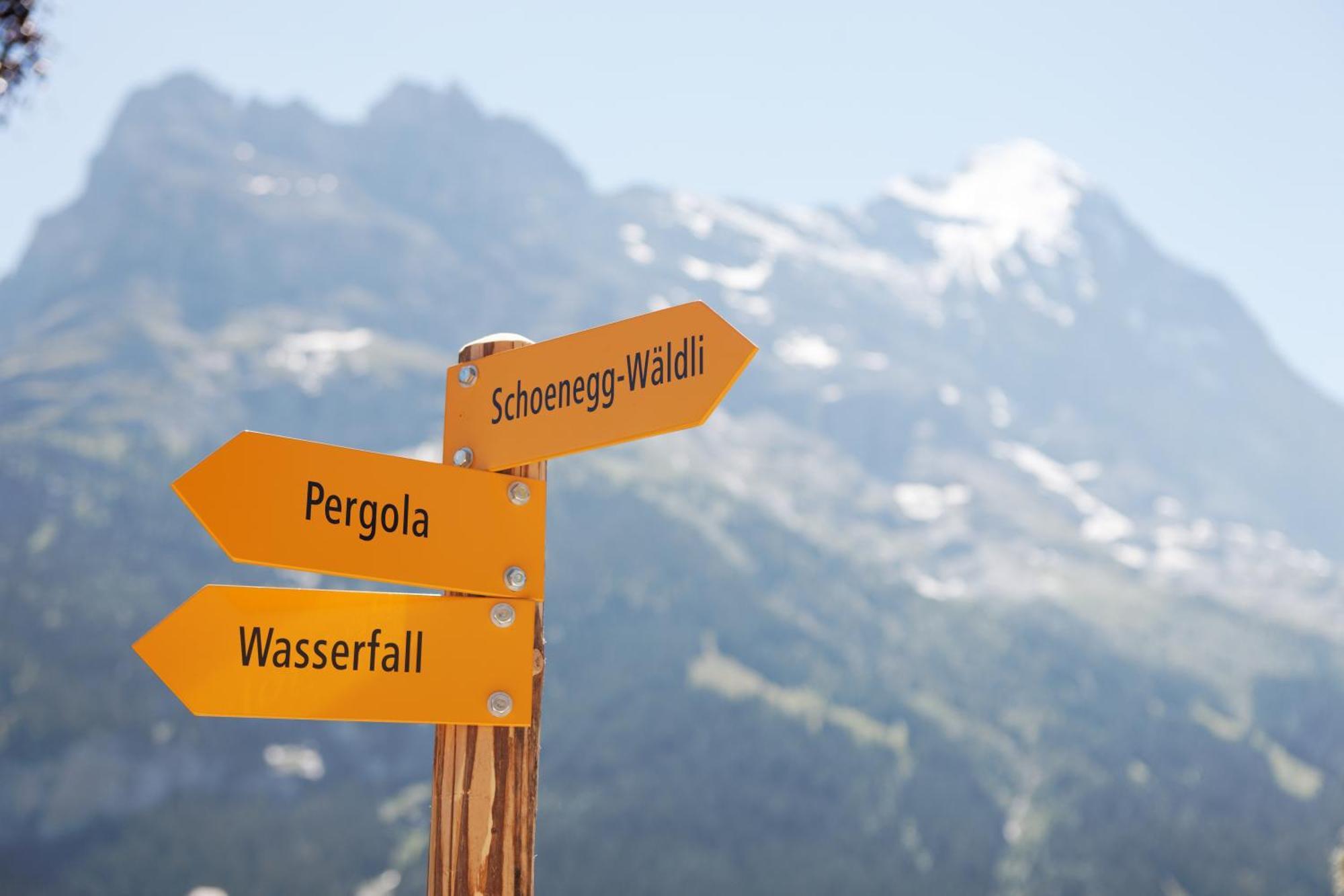 Parkhotel Schoenegg Grindelwald Eksteriør bilde